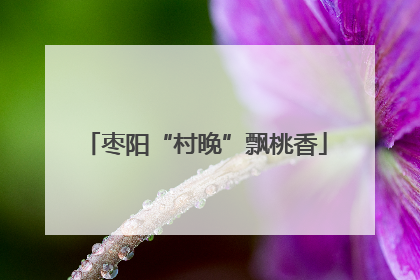 枣阳“村晚”飘桃香