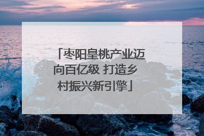 枣阳皇桃产业迈向百亿级 打造乡村振兴新引擎