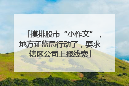 摸排股市“小作文”，地方证监局行动了，要求辖区公司上报线索