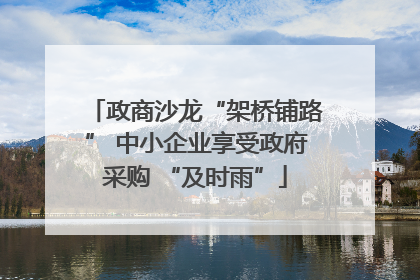 政商沙龙“架桥铺路” 中小企业享受政府采购 “及时雨”