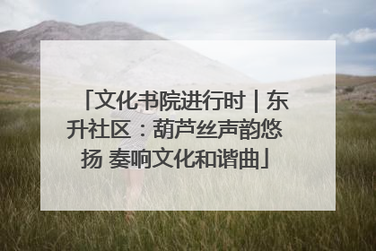 文化书院进行时｜东升社区：葫芦丝声韵悠扬 奏响文化和谐曲