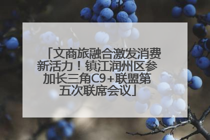 文商旅融合激发消费新活力！镇江润州区参加长三角C9+联盟第五次联席会议