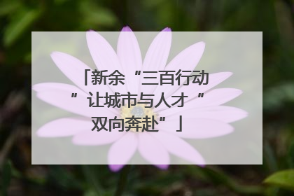 新余“三百行动”让城市与人才“双向奔赴”