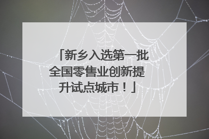 新乡入选第一批全国零售业创新提升试点城市！
