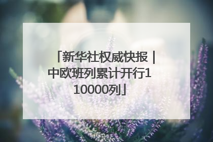 新华社权威快报｜中欧班列累计开行110000列