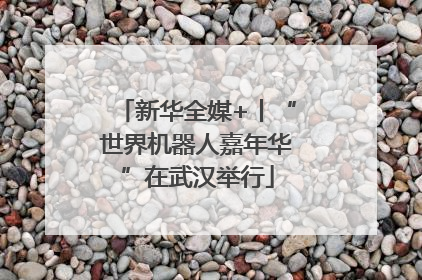 新华全媒+丨“世界机器人嘉年华”在武汉举行