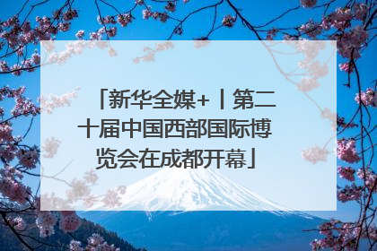 新华全媒+丨第二十届中国西部国际博览会在成都开幕