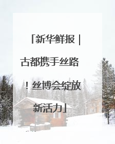 新华鲜报｜古都携手丝路！丝博会绽放新活力