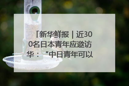 新华鲜报｜近300名日本青年应邀访华：“中日青年可以创造更好的未来”