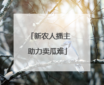 新农人播主 助力卖瓜难