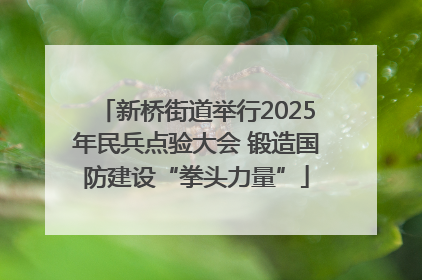 新桥街道举行2025年民兵点验大会 锻造国防建设“拳头力量”
