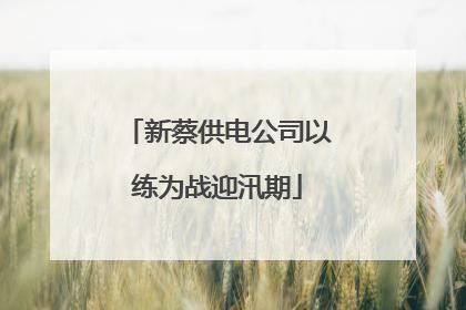 新蔡供电公司以练为战迎汛期