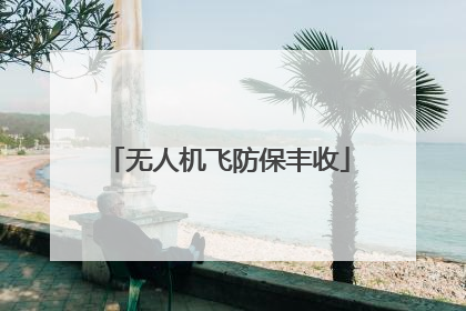 无人机飞防保丰收