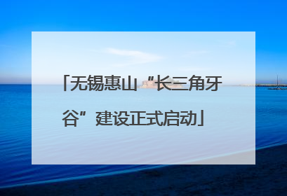 无锡惠山“长三角牙谷”建设正式启动