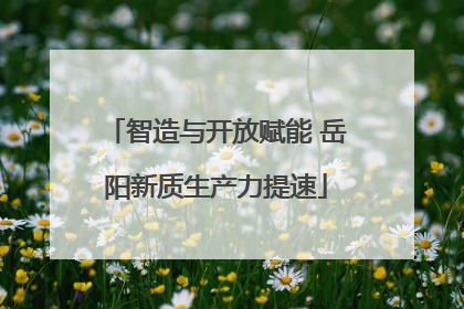 智造与开放赋能 岳阳新质生产力提速