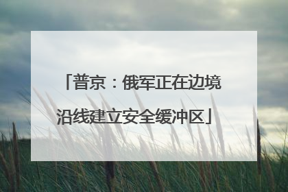 普京：俄军正在边境沿线建立安全缓冲区