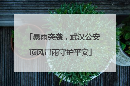 暴雨突袭，武汉公安顶风冒雨守护平安