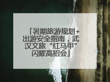 暑期旅游规划+出游安全指南，武汉文旅“红马甲”闪耀高招会