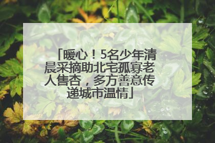 暖心！5名少年清晨采摘助北宅孤寡老人售杏，多方善意传递城市温情
