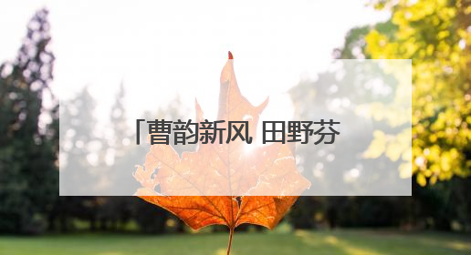曹韵新风 田野芬芳｜菏泽曹县磐石街道：以歌为媒 唱响乡土“新歌声”