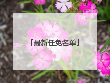 最新任免名单