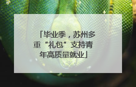 毕业季，苏州多重“礼包”支持青年高质量就业
