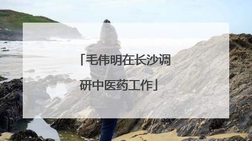 毛伟明在长沙调研中医药工作