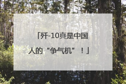 歼-10真是中国人的“争气机”！