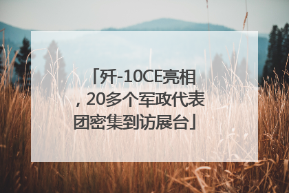 歼-10CE亮相，20多个军政代表团密集到访展台