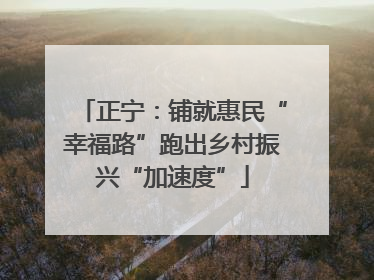 正宁：铺就惠民“幸福路”跑出乡村振兴“加速度”