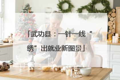 武功县：一针一线“绣”出就业新图景