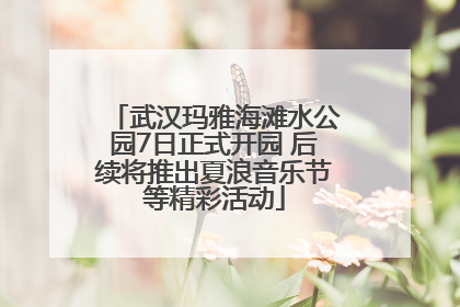 武汉玛雅海滩水公园7日正式开园 后续将推出夏浪音乐节等精彩活动