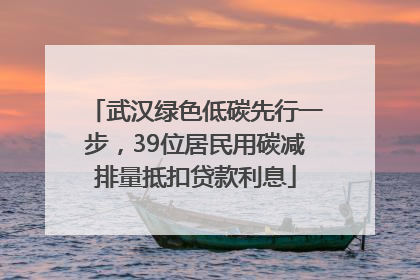 武汉绿色低碳先行一步，39位居民用碳减排量抵扣贷款利息