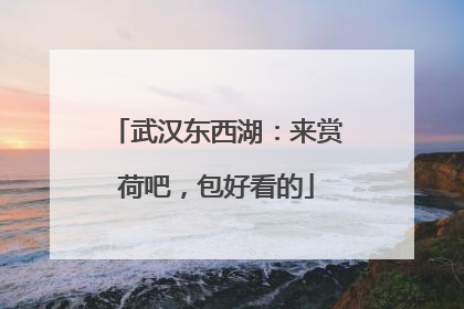 武汉东西湖：来赏荷吧，包好看的