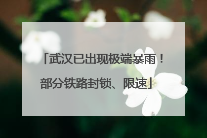 武汉已出现极端暴雨！部分铁路封锁、限速