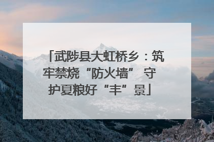 武陟县大虹桥乡：筑牢禁烧“防火墙” 守护夏粮好“丰”景