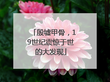 殷墟甲骨，19世纪震惊于世的大发现