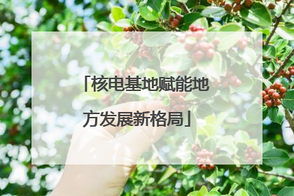 核电基地赋能地方发展新格局