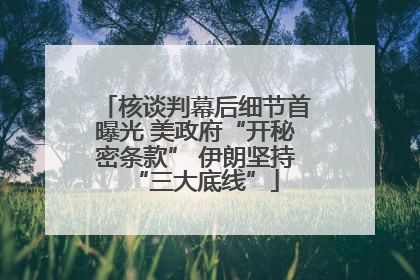 核谈判幕后细节首曝光 美政府“开秘密条款” 伊朗坚持“三大底线”