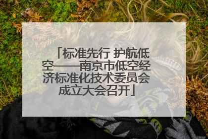 标准先行 护航低空——南京市低空经济标准化技术委员会成立大会召开