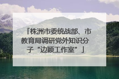 株洲市委统战部、市教育局调研党外知识分子“边颖工作室”
