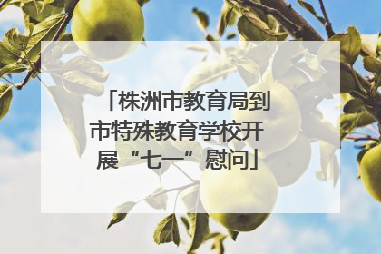 株洲市教育局到市特殊教育学校开展“七一”慰问