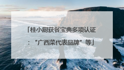 桂小厨获餐宝典多项认证：“广西菜代表品牌”等