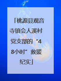 桃源县观音寺镇会人溪村党支部的“48小时”救援纪实