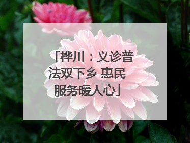 桦川：义诊普法双下乡 惠民服务暖人心