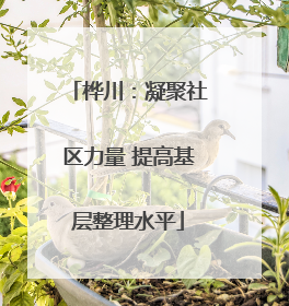 桦川：凝聚社区力量 提高基层整理水平
