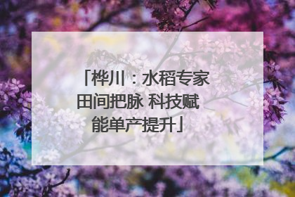 桦川：水稻专家田间把脉 科技赋能单产提升