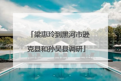 梁惠玲到黑河市逊克县和孙吴县调研