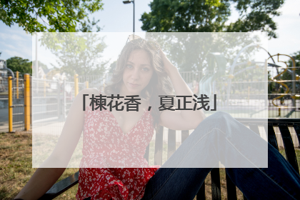 楝花香，夏正浅