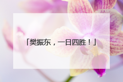 樊振东，一日四胜！